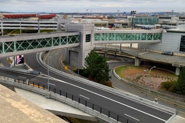 Scorpion Stings, woman in Boston, luggage claim while picking luggage after a flight from Mexico